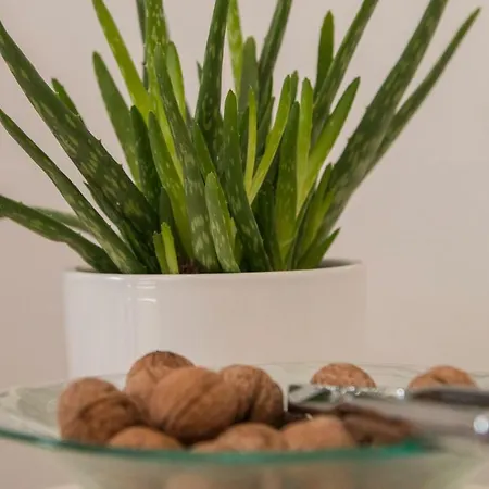 Apartament Padrenostro