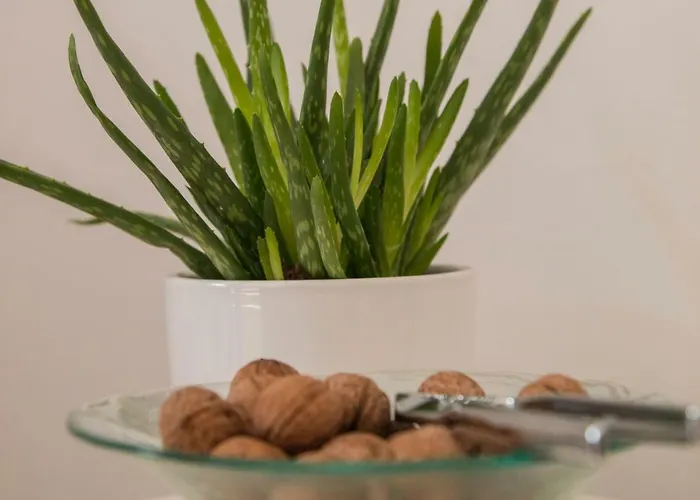 아파트 Padrenostro